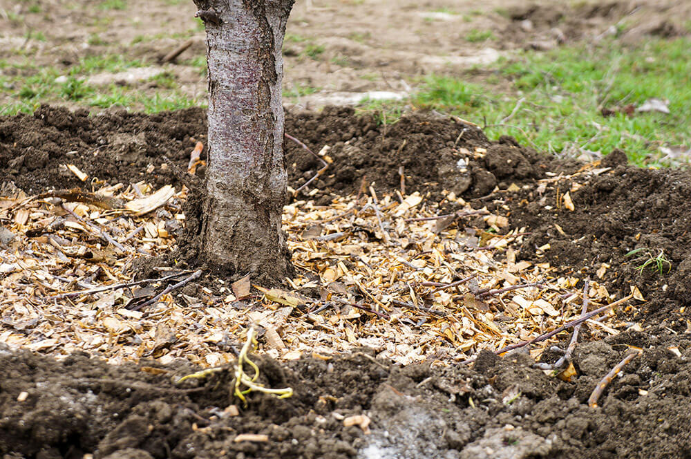Agri Organics Mulch